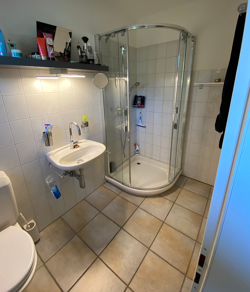 steinhaus-duschumbau-referenz-remetschwil-vorher